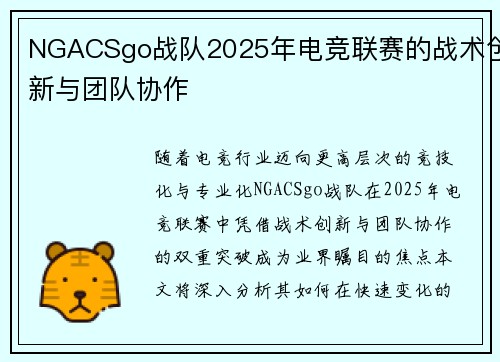 NGACSgo战队2025年电竞联赛的战术创新与团队协作
